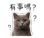 839777606