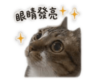 839777712