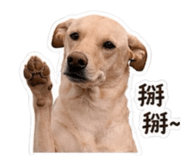 839777719