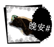 839777731