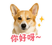 839777870
