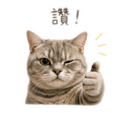 839777972