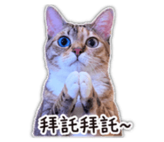 839777993