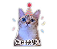 839777994