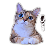 839777997