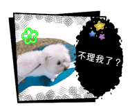 839778205