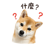 839778228