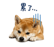 839778229