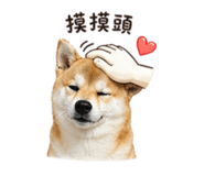 839778231