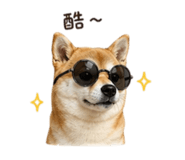 839778232