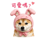 839778233