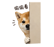 839778234