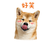 839778238