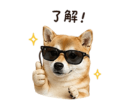 839778240