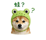 839778241