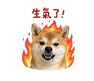 839778242