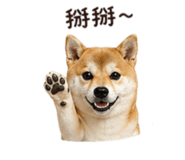 839778247