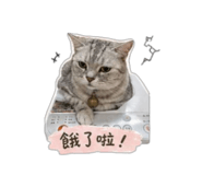 839778368