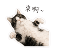839778394