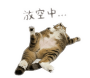 839778477