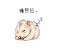 839778611