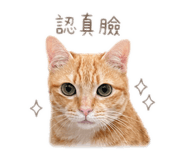 839778698