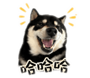 839778761