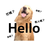 839779033