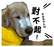 839779038