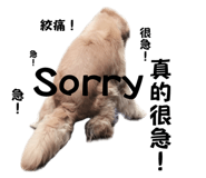 839779045