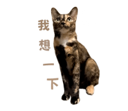 839779692