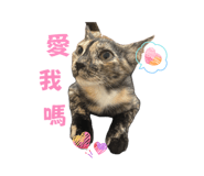 839779693