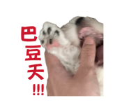 839779703