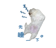 839779704