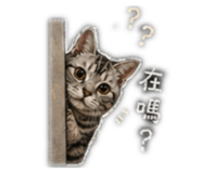 839779722