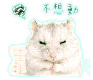 839779886