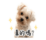 839779997