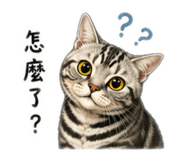 839780236