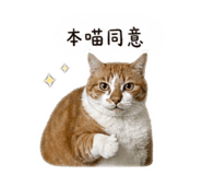 839780253