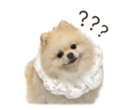 839780411