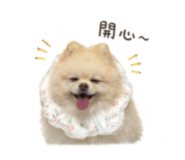 839780412