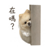 839780413