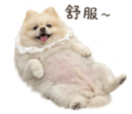 839780424