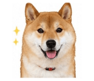 839780537