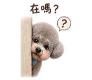 839781354