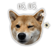 839781842