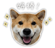 839781845