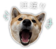 839781850