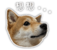 839781851