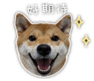 839781853